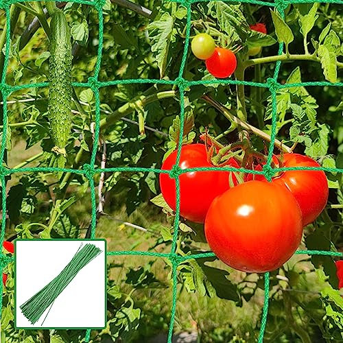 Garden Netting for Veg Patch Fine Mesh (2x5m)
