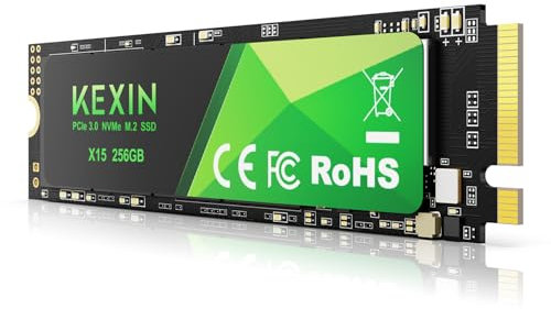 KEXIN 256GB Interno SSD Fino a 2800MB/s M.2 PCLe 3.0 NVMe SSD Internal Solid State Drive