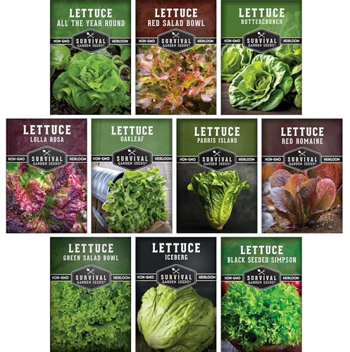 Lettuce Seeds for Planting | 10 Heirloom Lettuces – Buttercrunch, Romaine, Iceberg, Oakleaf, Simpson, Salad Bowl, Lolla Rossa & More | Survival Garden Seeds