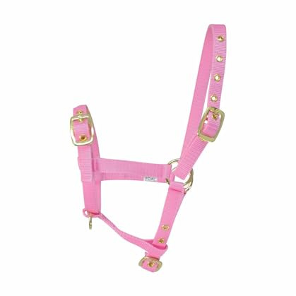 HY Y-h Potro Cabeza Cuello PR-2952 Rosa Talla Única 20352