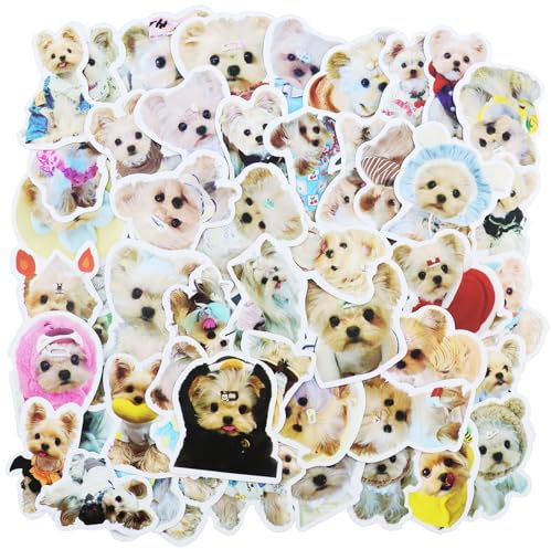 Juego de 50 Pegatinas Auténticas de Vinilo Impermeables para Ordenador Portátil, Niños, Motos, Bicicletas, Monopatín, Maleta - Diseños Graffiti para Amantes de Perros