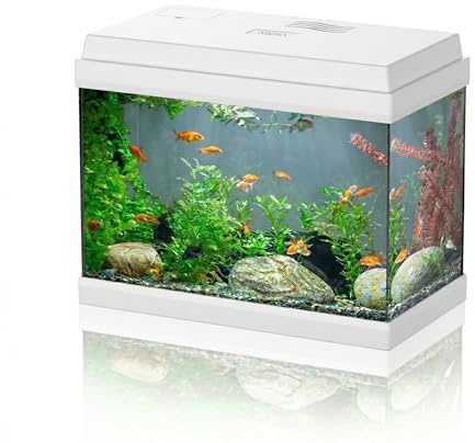 AQPET Acquario in Vetro per Pesci Tropicali Completo di Accessori Filtro Luce Simply, 30 39x22x30 cm 30 Litri, Bianco