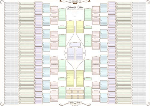 Arbre généalogique – Tableau double pour 10 générations coloured boxes 120 g paper