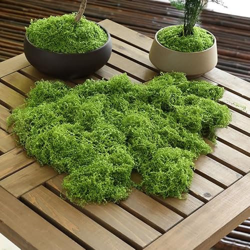 200g Kunstmoos zum Dekorieren, Kunstmoos zum Basteln Künstliches Moos Deko Kunst Moos Fake Dekomoos Bastelmoos für Kunstrasen Miniaturgarten,Miniatur Garten Deko (200, Gramm)