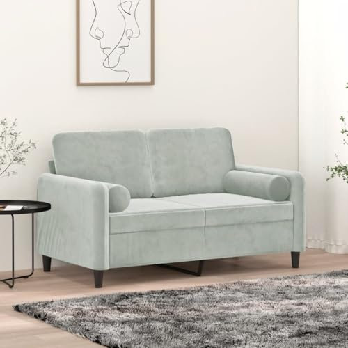 Homgoday 2-sitsig soffa med dekorativ kudde, dubbelsoffa, soffa, modern relaxsoffa, loungesoffa, relaxsoffa, Loveseat, gästsoffa, sittmöbler för vardagsrum, kontor, sovrum, ljusgrå, 120 cm sammet