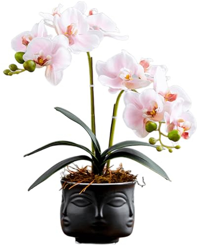 SYDDOL Orchidea artificiale bonsai rosa 35 cm di altezza finta Phalaenopsis composizione floreale realistica idratante fiori di orchidea artificiale in vaso zen in ceramica nera per centrotavola