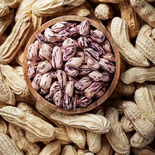 maní verdes semillas de bonsái de interior resistentes decoración oficina miseria silvestres medicinales cocina balcón camas 80pcs