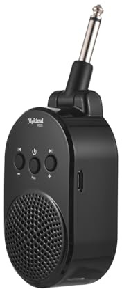Hanzete Amplificatore per chitarra BT portatile da 5 W, altoparlante plug-in per tutte le chitarre elettriche e strumenti a fiato, amplificatore di tipo C, ricaricabile, girevole a 270 gradi, plug and