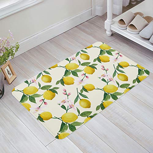 Türmatte 60x40cm, Sommergelbe Zitrone Mit Blättern Und Blüten Welcome Fußmatte Modernen Innenmatte Langlebig Fußmatte Innen, Für Flur, Eingang