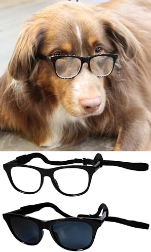 G006 Dog Pet 80s Costume Sunglasses Prop Photoshoot Medium Breeds 20-40 lbs (2-Pack Black+ Black-Clear Lens)