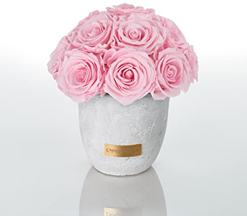 Solid Infinity Collection – Drömlika Infinity rosor, 1–3 års hållbara rosor, betongvas med äkta, konserverade rosor, ädla premiumrosor – storlek S (ridal rosa)