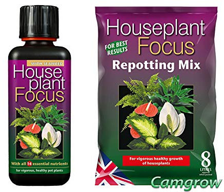 Growth Technology - Houseplant Focus or African Violet Focus Soil & Fertiliser (2x 8L bag of Soil - 1x HousePlant 300ml)