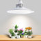 Sonlipo 36W LED Pflanzenlampe Vollspektrum E27, 400W Äquivalent Grow Light, 4100K LED Wachstumslampen Full Spectrum mit Hohem PPFD für Zimmerpflanzen, Blumen, Gemüse und Obst