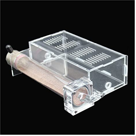 Nid Fourmis Maison Fourmis À 1 Tubes avec Zone d'alimentation Fourmilière Acryl Ant Farm Ferme À Fourmis Insectes Villa Pet Mania pour Fourmis Domestiques (Color : A)