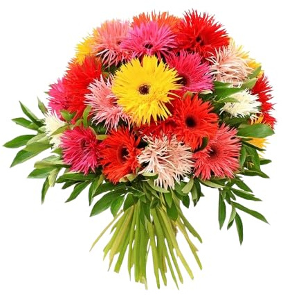 Ramo de Margaritas Gerbera Naturales con 20 Flores de Temporada
