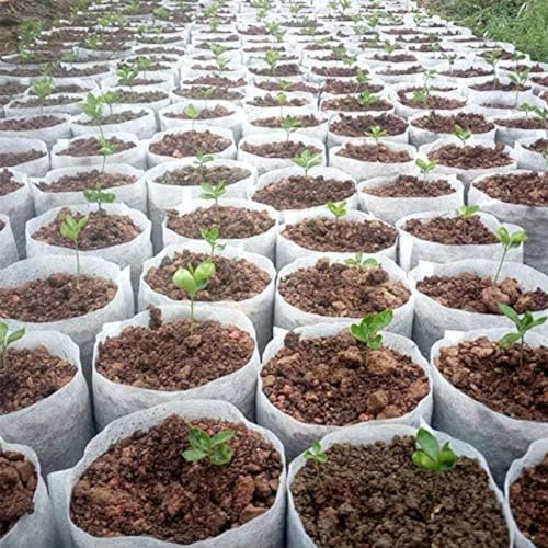 100 Pezzi di Diverse Dimensioni vasi per piantine in Tessuto Non Tessuto biodegradabili Borse per piantare ecologiche Borsa per vivaio Borse per Coltivazione di Piante per Giardino, 28x30 cm