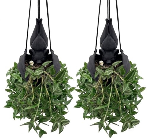 Hängande Fladdermus Växtkruka Fladdermusformad Hängande Kruka Hemma | Gotisk Halloween Boho hängkruka for suckulenter, vinstockar och små blommor, inomhus utomhus(2pcs)