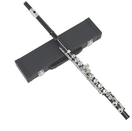 tvärflöjt instrument 16 Hål C Nyckel Flöjtkonsert Vit Kopparröd Tvärflöjt Träblåsinstrument Med Boxduk(Black)