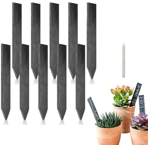 Lot de 10 étiquettes en ardoise à écrire - Pour plantes - Pour l'extérieur - Résistant aux intempéries - 10 x 2 cm