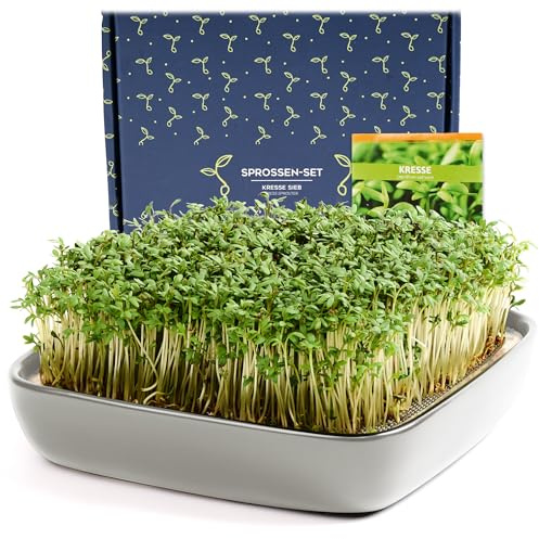 Otaro Germogliatore con Semi di crescione | Microgreens | Idroponica Kit Completo - Pronto all’Uso | Germogliatore per Semi | Semenzaio Elegante | (Grigio - Set Premium in Ceramica)