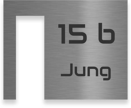 Jung Edelstahl Design Modernes V2A Edelstahl Türschild optimiert für Netatmo Doorbell Klingelschild 20x16 cm Haustürschild mit Hausnummer und Namen individuell personalisierbar (Edelstahl)