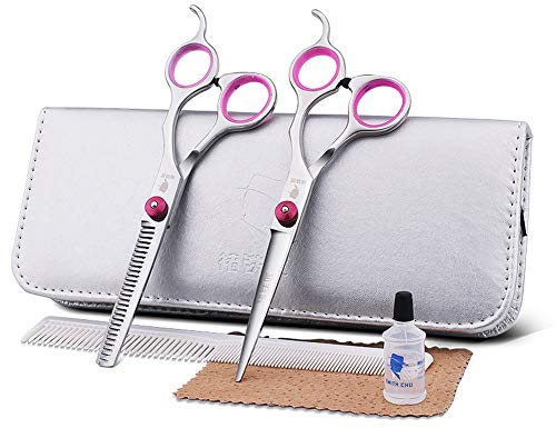 Salon Professionelle Friseurschere Eingestellt 6.0 zoll, exquisite hochwertige haarschneidewerkzeug 440c hohe härte edelstahl - Vervollkommnen Sie für Stilvolles Haar-Ausschnitt,Set