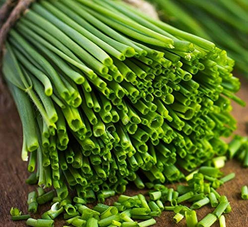 Organic Garlic Chive Herb Vegetable Seeds - Easy to Grow - Anytime Sowing Aprx. 200 Seeds