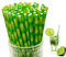 100pcs Cannucce Carta, Stile Bambù Verde, Cannucce di carta per feste, per Compleanno, Matrimoni, Natale, Docce Bambino, Celebrazioni e Feste