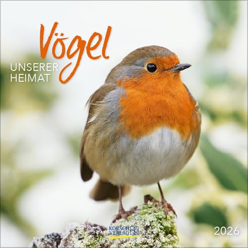 Vögel 2026: Broschürenkalender mit Ferienterminen und Bildern unserer heimischen Vogelwelt. Format: 30 x 30 cm