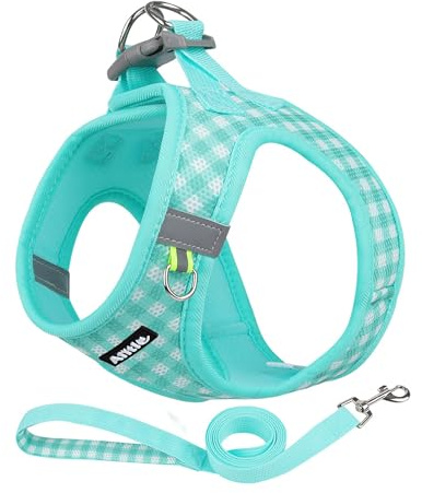AIITLE Verstellbares Hundegeschirr und Leinen-Set, weiches Netzgewebe, reflektierendes Karomuster, Geschirre für kleine Hunde, Welpen und Hauskatzen, zum Spazierengehen im Freien, Türkis, XS