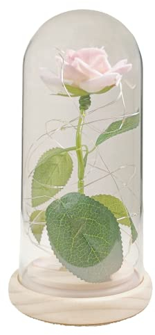 Rosa Stabilizzata Eterna in Vetro, Fiori Artificiali Realistici, Regalo per Donna Anniversario, Fidanzata,Festa della Mamma,Bella e la Bestia,Fiore Infinita Immortale,Regali Lei Amica Mamma Idea Donne