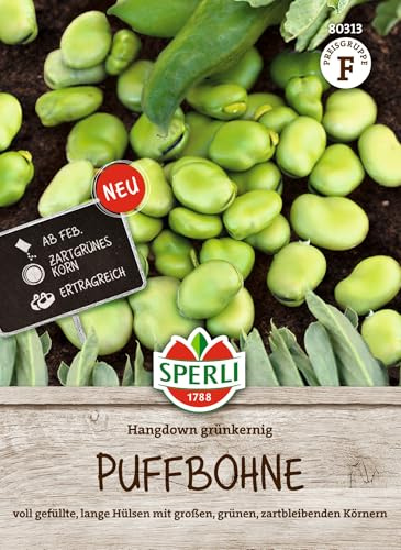 Sperli Semillas de haba Hangdown 80313 - Variedad de alto rendimiento con granos delicados en manga larga. Semillas de frijoles gruesos, semillas de haba hinchadas resistentes para campo abierto y