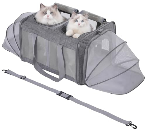Pawlen Großer Katzentransportbox für 2 Katzen und Kleine Hunde bis 15KG mit Abnehmbarem Weichem Kissen（53 x 43 x 33 cm）,Faltbare & Erweiterbar Katzentransporttasche mit,Transportbox Katze,L