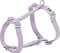 Premium Geschirr L-XL: 75-120 cm / 25 mm Helllila