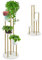 HOMASIS Soporte para plantas de metal de 4 niveles, Soporte para flores de interior con 4 bandejas, Jardinera en forma de escalera, Expositor para salón, balcón, 40 x 122,5 cm (Oro y Blanco)
