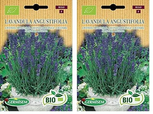 Germisem Orgánica Lavandula Angustifolia Semillas de Lavanda 0.5 g, ECBIO1143 (Paquete de 2)