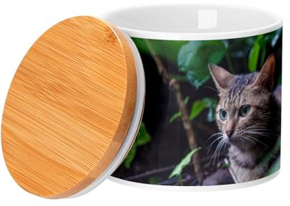Fabulous Keramiktopf mit Bambusdeckel - Europäische Katze Grau Tabby Dans les Bois - 473 ml (16 oz) - Topf