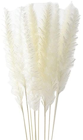 TAOYUN 10 Piezas de Hierba de Pampas Seca de Color Natural, Plumas de caña mullidas Reales, Ramo de Flores de Phragmites, decoración del hogar, Ramo de Boda, decoración de Arco
