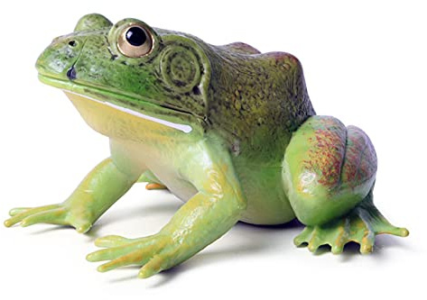 SCAHOW Plastic Frog Toys for Kids, Rainforest Animals Figures, Rubber Bullfrog Figurine, Forest Woodland Animals Toys, Frog Decor Party Favor Garden Flowerpot Decoration (Green)