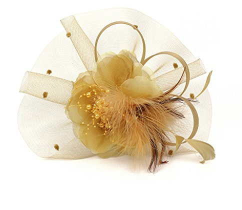 SJTJSPX Fascinator Chapeau de Mariage Femme Chapeau Bibi Elégante Voilette Voile Mariée Bandeau et Clip Dames Day Coiffure Vintage Plume Pince à Cheveux Déguisment Soirée Fête Cocktail Tea Party