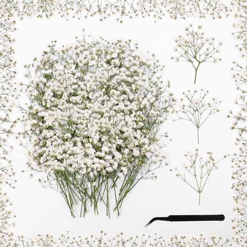 Dreamtop 100 Stück Weiße Getrocknete Blumen Klein Baby’s Breath Blumen Echte Natur Trockenblumen mit Pinzette für DIY Harz Kunst Handwerk Basteln