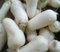 Lote de 500 Semillas de Nabo - Variedad Rústica, Tierna y Dulce - 100% Natural - Rico en Vitaminas - Garantía de Germinación - Semillas 100% Reproducibles