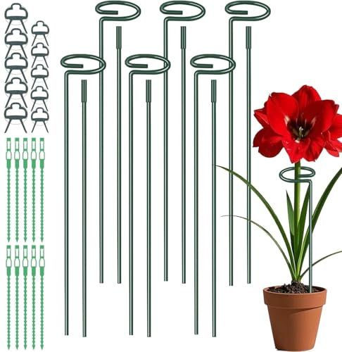 LATERN 6 Pezzi Stecche di Supporto per Piante, 30CM/ 60CM/ 90CM Paletto di Supporto a Stelo Singolo 6CM Anello di Supporto Gabbia per Piante con 10 Clip e Lacci per Fiore Amarillide Li Rosa Peonia
