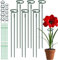 LATERN 6 Stück Pflanzen Stützstäbe, 30CM/ 60CM/ 90CM Verstellbarer Einzelnen Stamm Stützstab 6CM Durchmesser Metall Pflanzenkäfig Stützring mit 10 Clips und Bändern für Blumen Amaryllis Kleine Rose