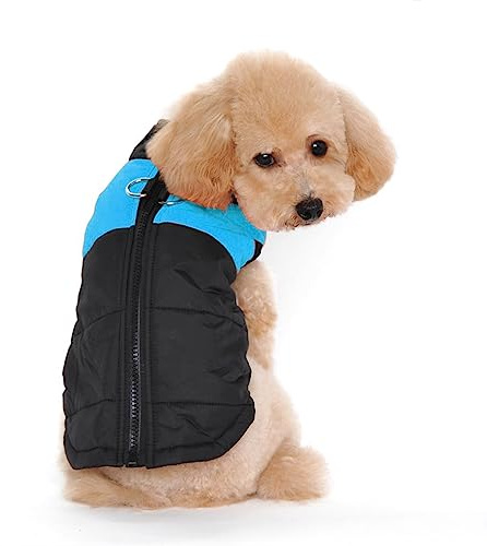 Ectkuee Winter Warm Pet Hund Kleidung klein wasserdichte Hundemantel Jacke Winter Gesteppt Gepolstert Puffer Pet Kleidung…