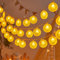 ENLACE Lichterkette Zitronen, 1,5 M 10 LED Gelb Lichterkette, Zitronenlicht, Dekoratives Licht für Terrasse, Wohnzimmer, Schlafzimmer, Party, Hochzeit, Karneval, Weihnachtsdekor, Innen und Außen