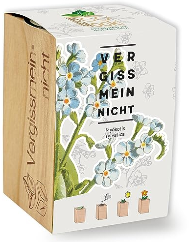 Feel Green ecoblock Vergissmeinnicht, Nachhaltige Geschenkidee (100% Eco Friendly), Grow Your Own/Anzuchtset, Pflanzen im Holzblock, Made in Austria, Holz
