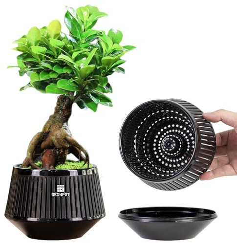 Meshpot 1 vaso bonsai da 12 cm con vassoio di drenaggio e ottimo flusso d'aria, vaso per bonsai in plastica con potatura ad aria, piccolo vaso per piante da interno, ginepro, ficus, olmo cinese