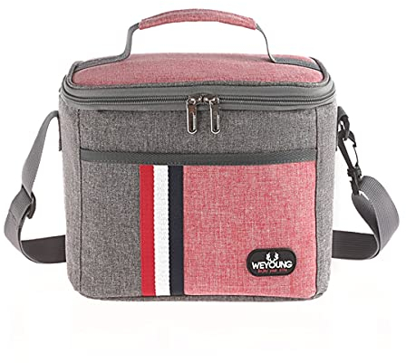 MCXKJ 8L Portatile Borsa Termica Pranzo al Sacco, Impacco di ghiaccio addensato per il pranzo in foglio di alluminio a prova di perdite, Leggera per Uomo Donna, Ideale per Picnic/scuola/ufficio(Rose)