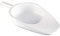 pharma Sartén Sanitaria Bedpan - Sartén sanitaria de cama higienizable de polietileno.